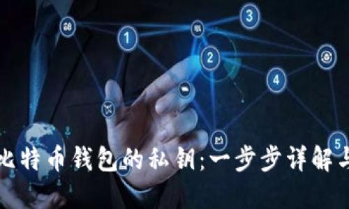 如何导入比特币钱包的私钥：一步步详解与最佳实践