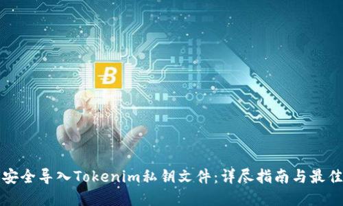 如何安全导入Tokenim私钥文件：详尽指南与最佳实践