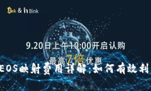 Tokenim EOS映射费用详解：如何有效利用EOS资源