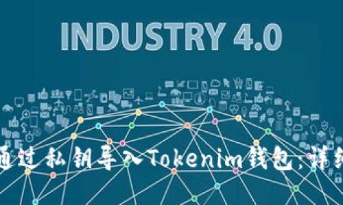如何通过私钥导入Tokenim钱包：详细指南