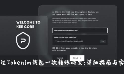 如何通过Tokenim钱包一次转账两笔：详细指南与实用技巧