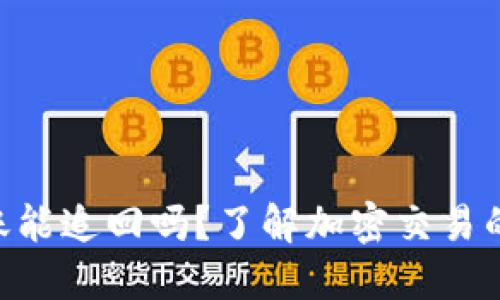Tokenim转账能追回吗？了解加密交易的不可逆特性