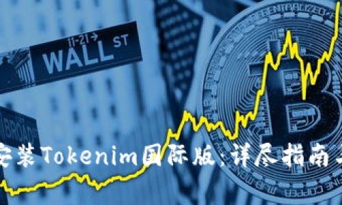 如何下载安装Tokenim国际版：详尽指南与注意事项