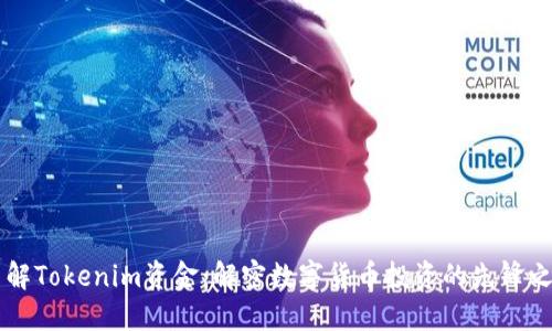 了解Tokenim资金：解密数字货币投资的先锋之路