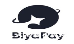 如何使用Python生成比特币钱包：详细步骤与实现