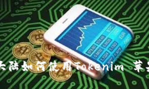 中国大陆如何使用Tokenim 苹果指南