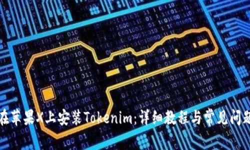 如何在苹果X上安装Tokenim：详细教程与常见问题解答