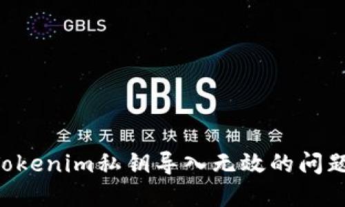 如何解决Tokenim私钥导入无效的问题：全面指南