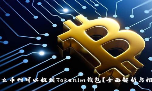 什么币网可以提到Tokenim钱包？全面解析与推荐