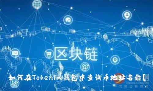 如何在Tokenim钱包中查询币地址名称?