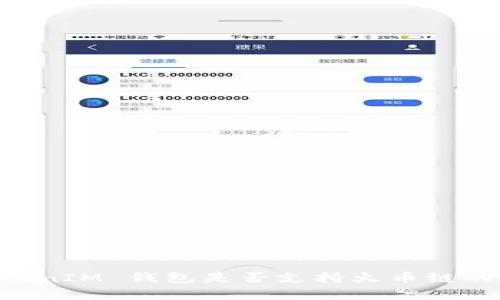 TokenTokenIM 钱包是否支持火币链的全面解析