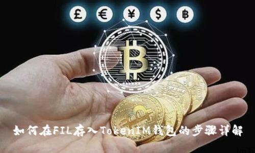 如何在FIL存入TokenIM钱包的步骤详解