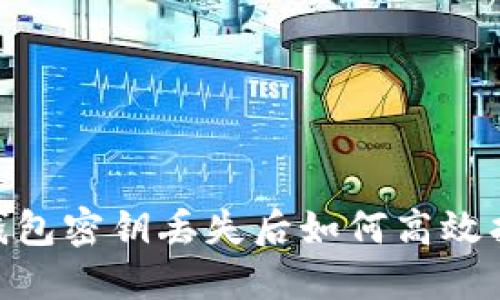 Tokenim钱包密钥丢失后如何高效找回的指南