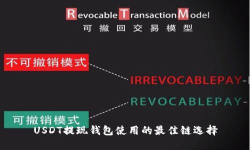 USDT提现钱包使用的最佳链选择
