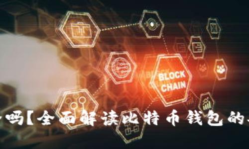 好比特币钱包安全吗？全面解读比特币钱包的安全性与选择技巧