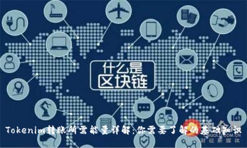 Tokenim转账所需能量详解：你需要了解的基础知识
