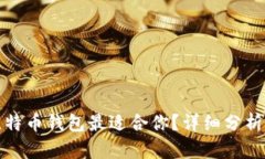 哪个比特币钱包最适合你？详细分析与推荐