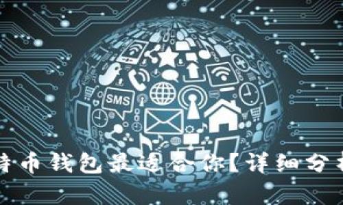 哪个比特币钱包最适合你？详细分析与推荐