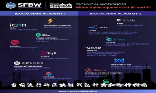 当前流行的区块链钱包种类和选择指南