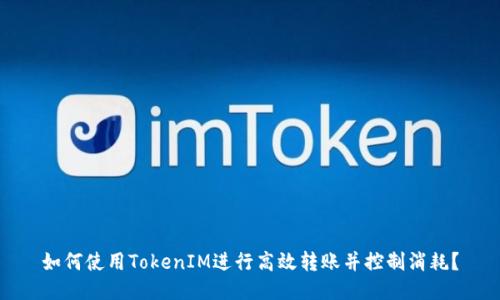如何使用TokenIM进行高效转账并控制消耗？
