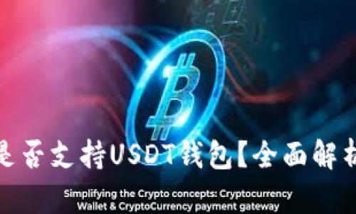 哈萨克斯坦是否支持USDT钱包？全面解析与实践指南