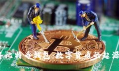 2009年比特币钱包：数字货币的起源与发展