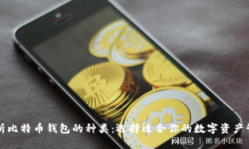 深入解析比特币钱包的种类：选择适合你的数字资产管理工具