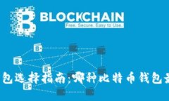 比特币钱包选择指南：哪种比特币钱包最适合你