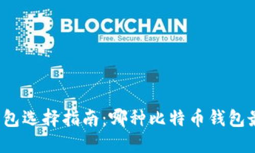 比特币钱包选择指南：哪种比特币钱包最适合你？