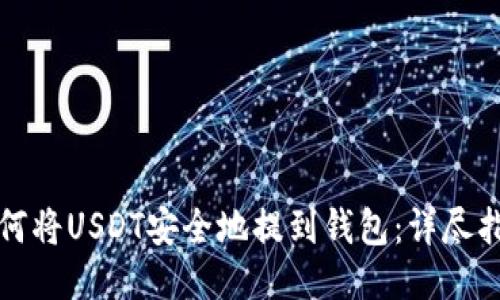 如何将USDT安全地提到钱包：详尽指南