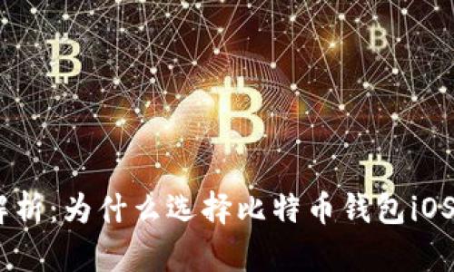 biexiao全面解析：为什么选择比特币钱包iOS版是最佳选择