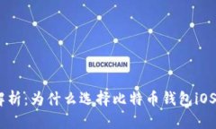 biexiao全面解析：为什么选择比特币钱包iOS版是最