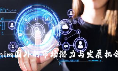 Tokenim国外的市场潜力与发展机会解析