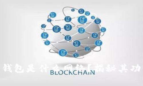 Tokenim钱包是什么网络？揭秘其功能和特点