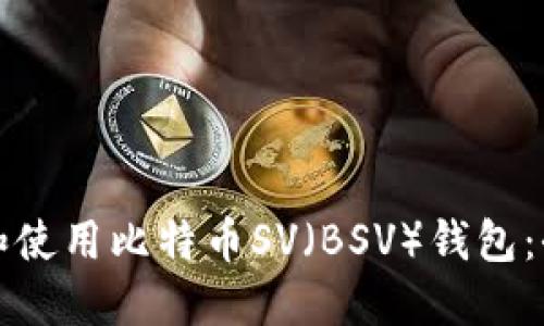 如何选择和使用比特币SV（BSV）钱包：全方位指南