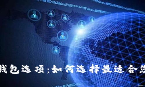 探讨比特币最安全的钱包选项：如何选择最适合您的加密资产保护方案