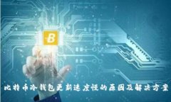 比特币冷钱包更新速度慢的原因及解决方案