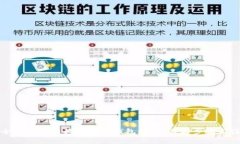 如何安全高效地转移比特币钱包数据：详解步骤