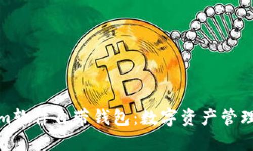 探秘Tokenim软件自带钱包：数字资产管理的未来之钥