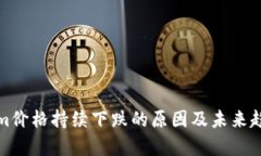 Tokenim价格持续下跌的原因及未来趋势分析