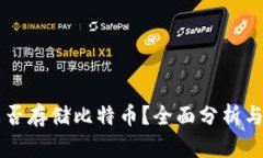 SC钱包能否存储比特币？全面分析与使用指南
