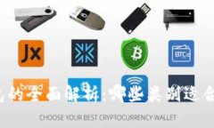 区块链钱包的全面解析：哪些类别适合你的需求