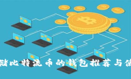 适合存储比特流币的钱包推荐与使用指南