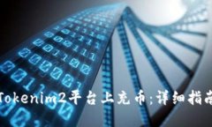 如何在Tokenim2平台上充币：详细指南与技巧