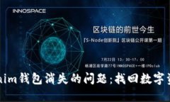 如何解决Tokenim钱包消失的问题：找回数字资产的