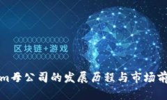 Tokenim母公司的发展历程与市场前景分析