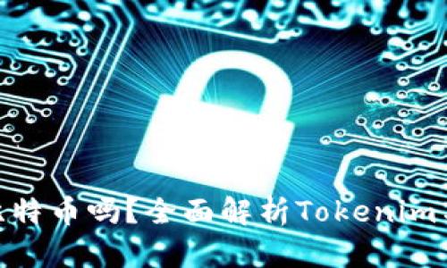 Tokenim支持比特币吗？全面解析Tokenim与比特币的关系