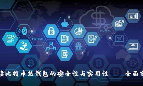 深入解读比特币热钱包的安全性与实用性——全面分析报告