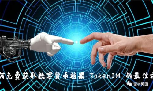如何免费获取数字货币糖果 TokenIM 的最佳方法