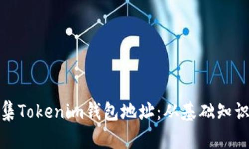如何有效收集Tokenim钱包地址：从基础知识到安全措施